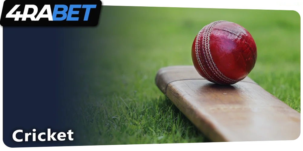 Cricket betting at 4rabet
